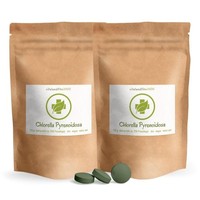 Bio Chlorella Pyrenoidosa Presslinge 250 G (2X 125 G) Ca. 500 StüCk à 500 Mg