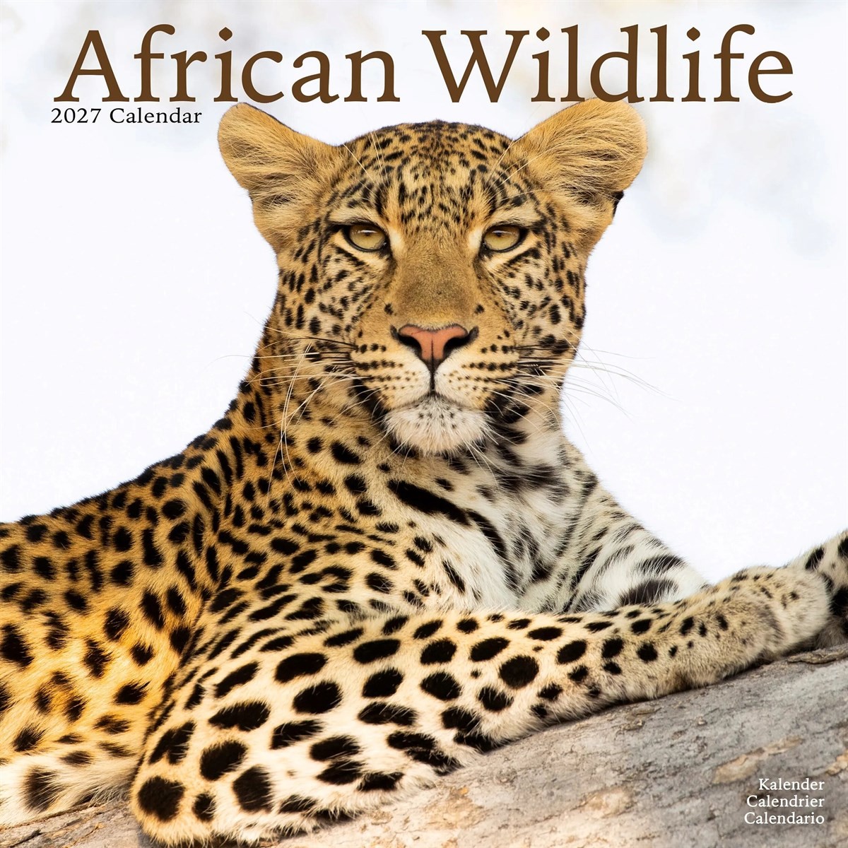 African Wildlife Calendar 2027, Wall Calendars, Month To View, Animals, Gift