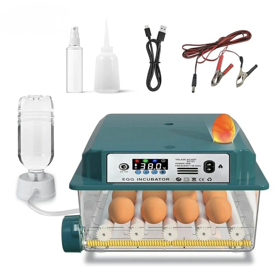 Incubatrice per Uova Automatica Incubatrice 16 Uova Gallina Semi-professionale - Image 3 of 4