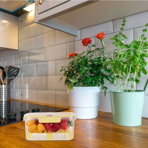 Fruit Fridge Storage Container Vegetable Preservation Box Fridge Fruit Storage - Picture 10 of 12