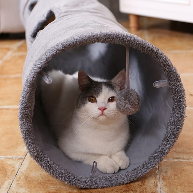 cat tunnel for large cats