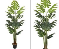 Splitphilodendron Monstera Kunstpflanze 180Cm Mit 18 BläTternvon Ibizanos