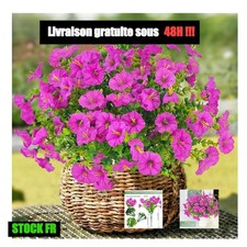 Fleurs Artificielles Extérieur Résistantes UV Gloire du Matin 6 Bouquets