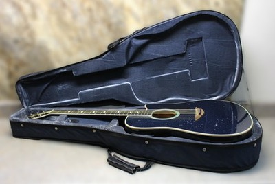 Esteban Celestial Night Limited Edition Acoustic/Electric Guitar