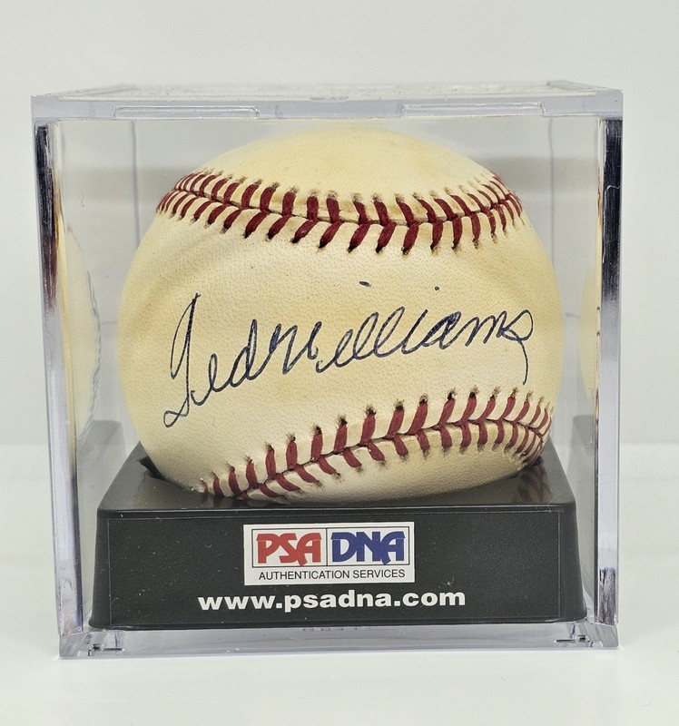 Ted Williams Autographed Baseball Sweet Spot PSA/DNA Certified