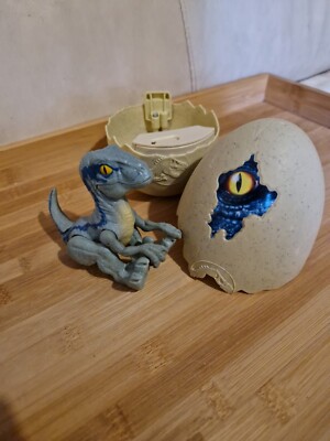 Jurassic World Velociraptor Blue Hatch N' Play dinosaur UK