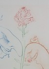 Bild 8 von 9