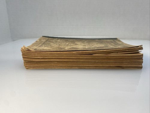 Ivanhoe Sir Walter Scott Houghton Mifflin 1895 Riverside Literature Series - Picture 4 of 15