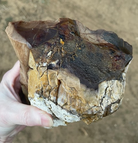 3,7 Pfund Biggs Bild Jaspis geschnitten Lapidar grob von Biggs, Oregon - Bild 4 von 7