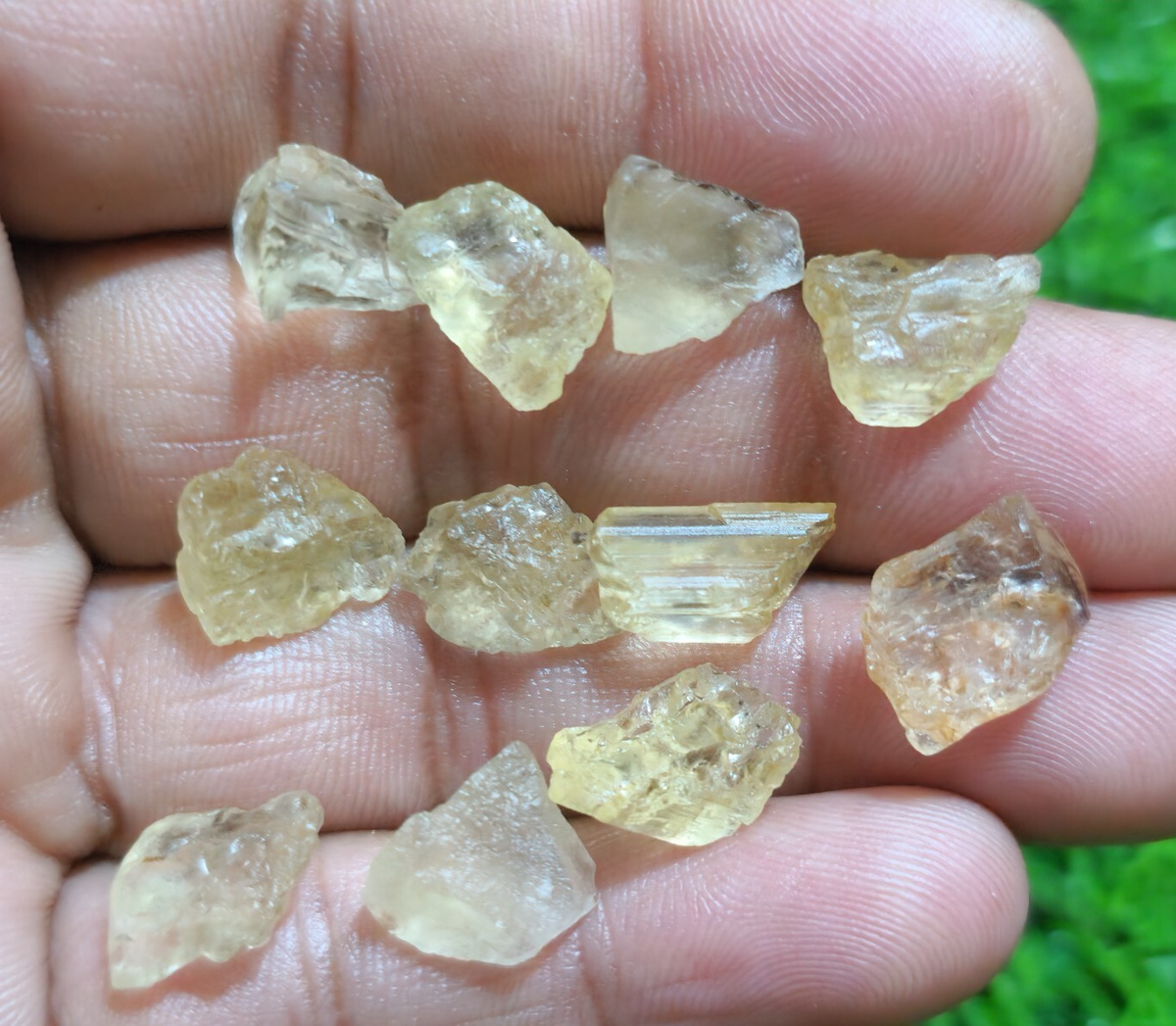 Natural Top Imperial Topaz Raw 11 Piece 10-14 MM Size Loose