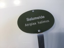 Salzmelde,Pflanzen Kräuter Stecker 23 Cm  Alu  robust frostfest Garten Schild