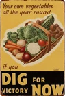 Digging For Victory Now Vintage Retro Tin Metal Signs Home Décor 8x12