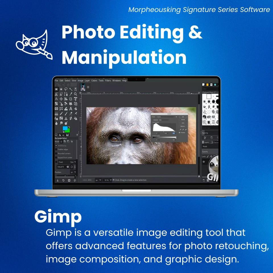 Full Online Video Creation Suite. Audio, Video, After Effects, Photo Editing DVD - Image 3 of 4