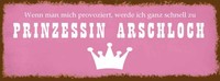 Holzschild 10X27 Cm Ich Zu Prinzessin Arschloch Dekoration Deko Geschenk Holz Sc