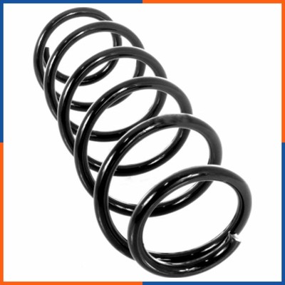 Aufhängungsfedern hinten für MERCEDES | 4256863, 4256864  