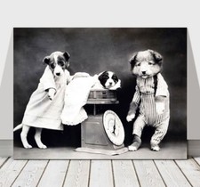 CUTE VINTAGE B&W Dogs Dressed Up With Puppy - CANVAS ART PRINT POSTER - 36x24"