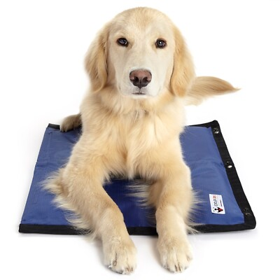 #ad CoolerDog Hydro Cooling Mat $49.99