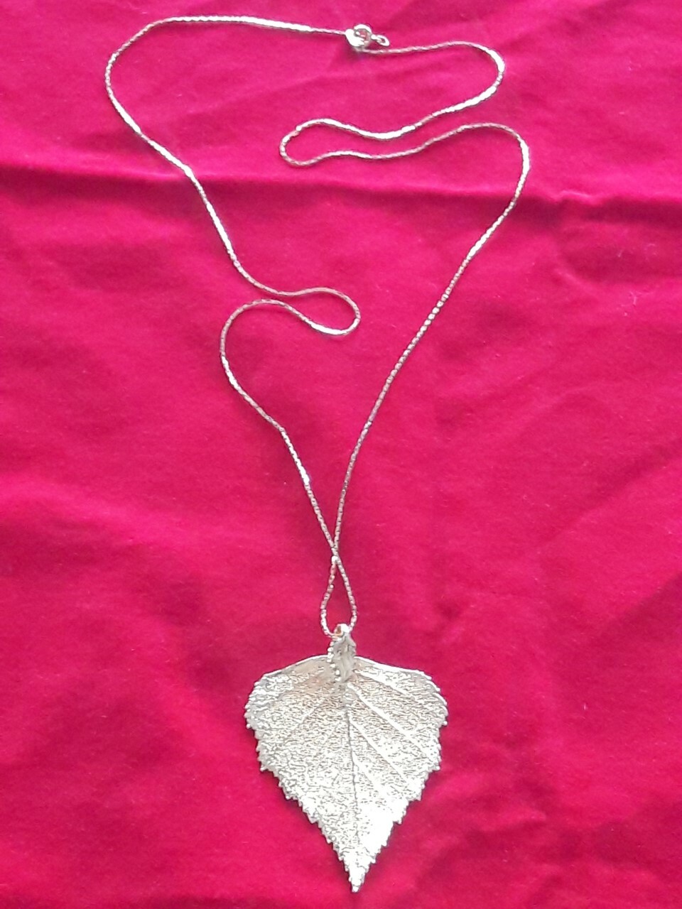 Bild 8 von 12