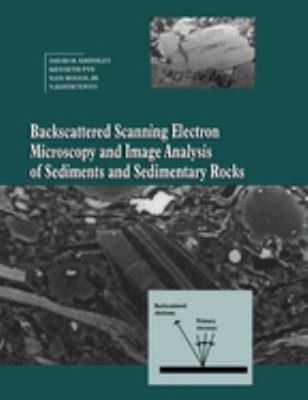 Backscattered Scanning Electron Microscopy and Image Analysis of