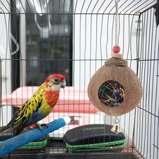  Nymphensittich Spielzeug Papagei Lustiger Shotet -Futterspielzeug