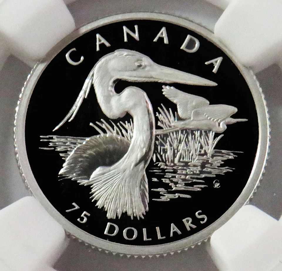 2002 PLATINUM 344 MINTAGE CANADA $75 GREAT BLUE HERON 1/4 OZ NGC PROOF 70 UC - Image 2 of 3
