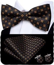 Hi-Tie Bow Ties for Men Pre-Tied Adjustable Silk Bowties Lapel Black and Gold