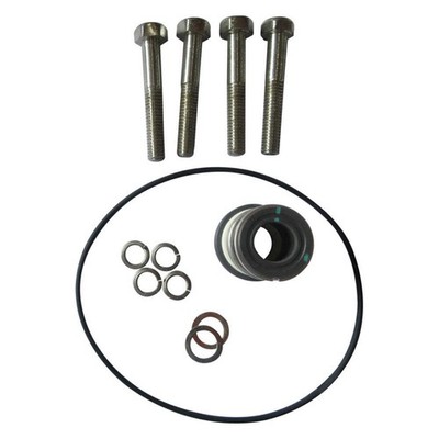 DAYTON GGS_103727 Pump Repair Kit 800VY5