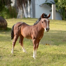 13.5 H Standing Horse Resin Statue Decor Farm...