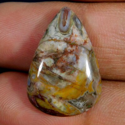 Natural Unique Palm Root Agate Pear Cabochon Loose Gemstone 14.35Cts.