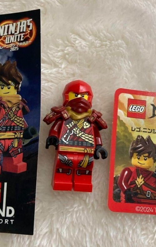 のんページです LEGOLAND Japan Exclusive Ninja Unite Training Academy 2025 Kai