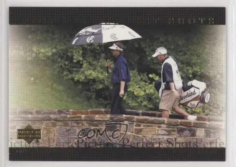 2004 Upper Deck Picture Perfect Shots David Toms #75 8d1