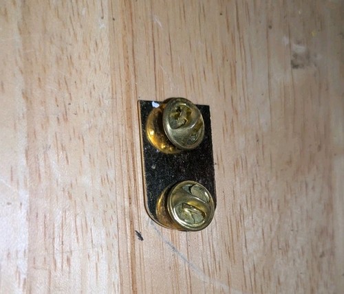 Menorah pin