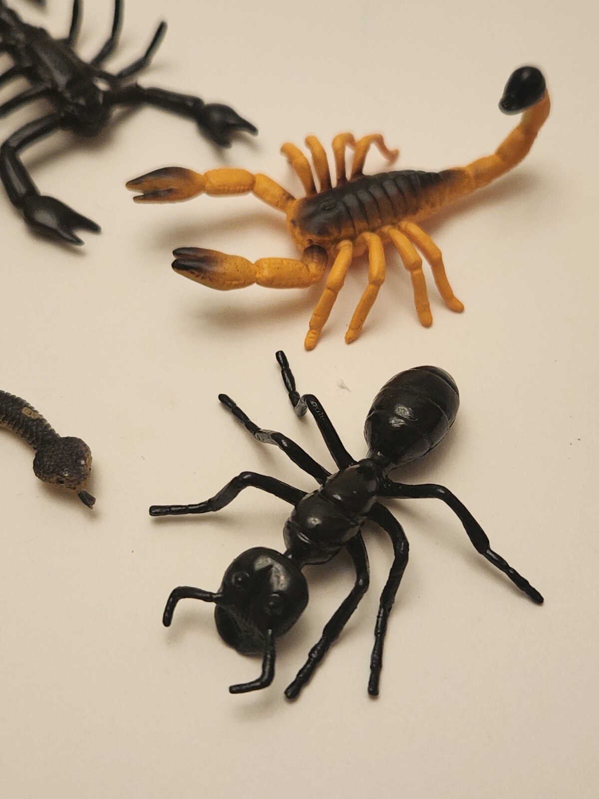 Safari Ltd Ant Driver Ants Or Safari Ants In Zambia Stock Photo