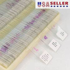 Mammal Tissue Sections Histology Prepared Specimen Microscope Slides 100PCS