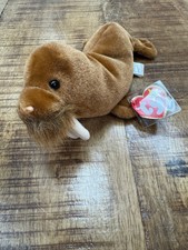 Ty Beanie Baby Paul the Walrus Plush With Multi Errors