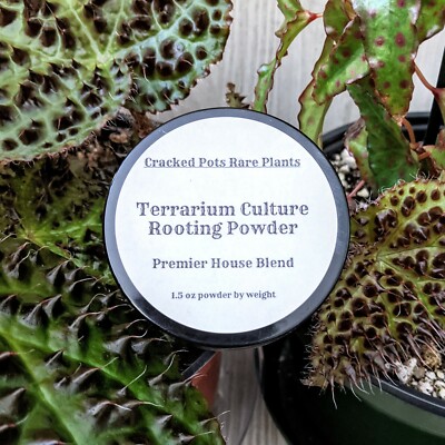 6x Strength Terrarium Culture Root Maker