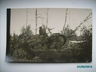 ESTONIA PRE WW II , LIGHT TANK IN FOREST , RPPC