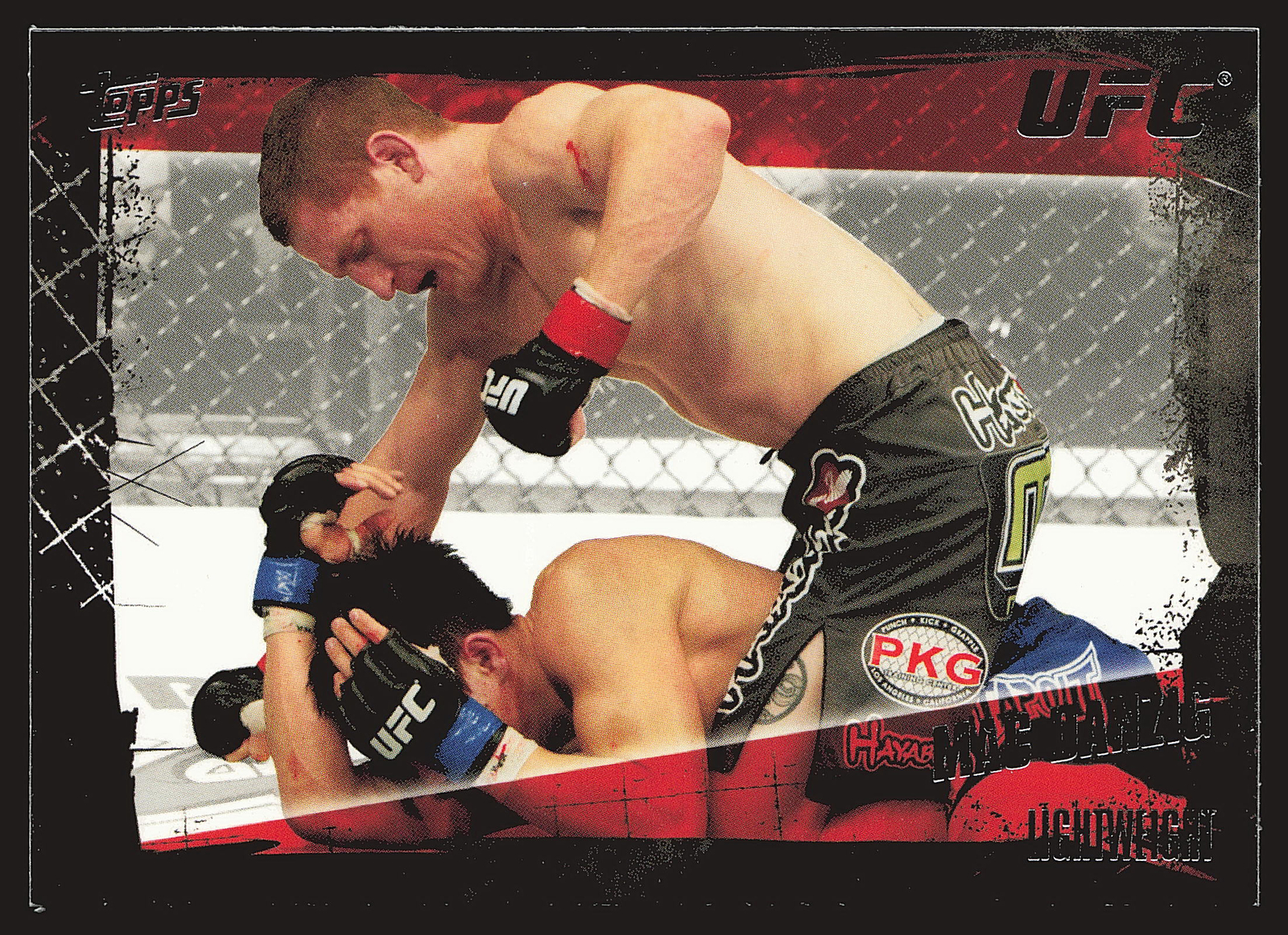 2010 Topps UFC #135 Mac Danzig