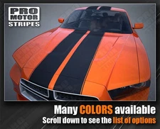 Dodge Charger Over-The-Top Double Stripes w/ Pinstriping 2011 2012 2013 2014