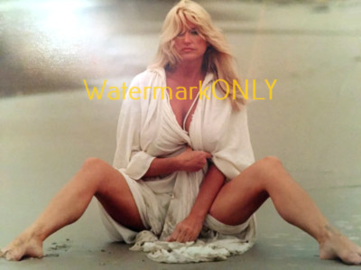 Linda Vaughn ''Miss Hurst Golden Shifter'' HOT SEXY BUSTY LEGGY PHOTO! #(69)