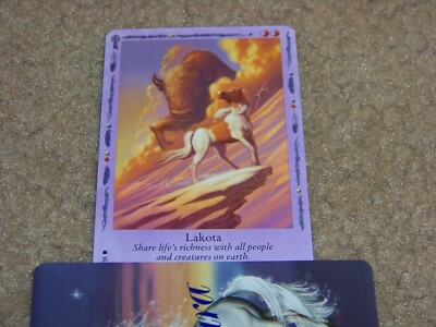Bella Sara trading card - Native Lights - Lakota 37/55 - rare