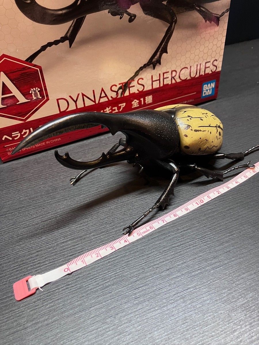 Dynastes Hercules beetle figure Life with Insect Ichiban