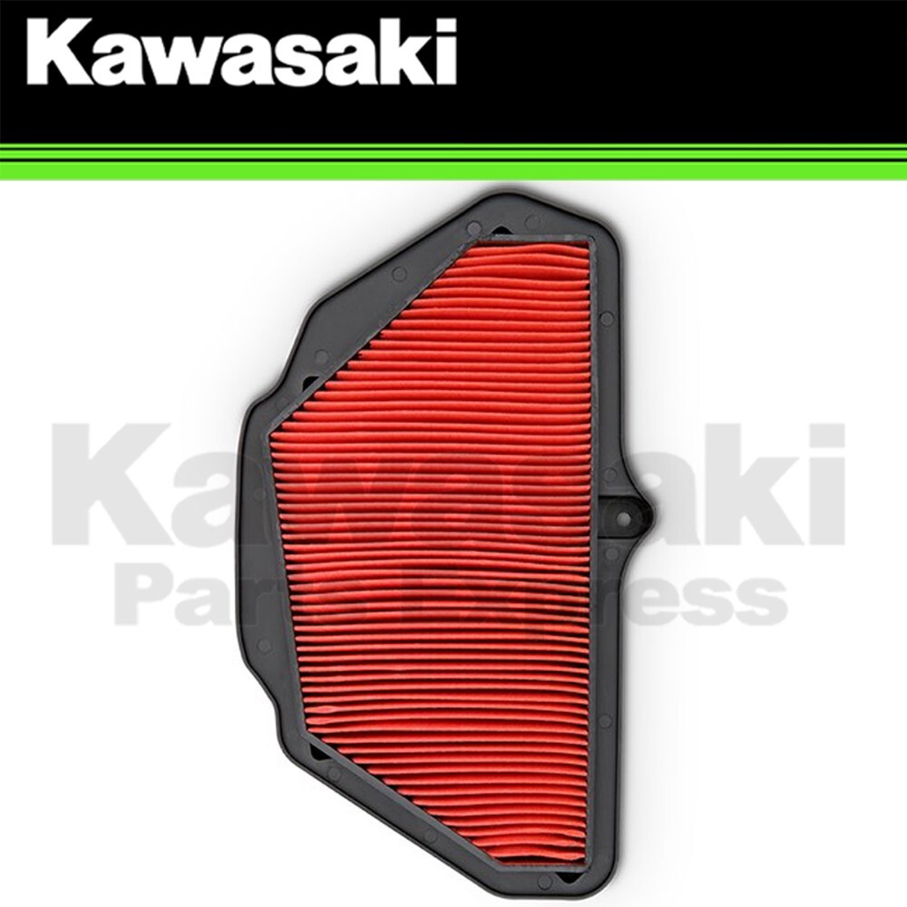 NEW 2019-2025 GENUINE OEM KAWASAKI NINJA ZX-10R RR AIR