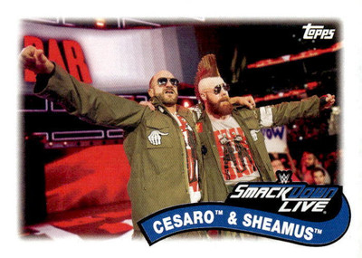 Cesaro / Sheamus 2018 Topps WWE Heritage - Tag Teams and Stables #TT-1 -