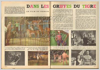 1960 KINODOKUMENT ZIRKUS: FILM IN DEN TIGERKRALLEN 2 Seiten