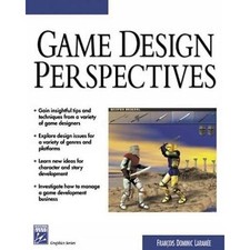 Game Design Perspectives (ADVANCES IN COMPUTE...