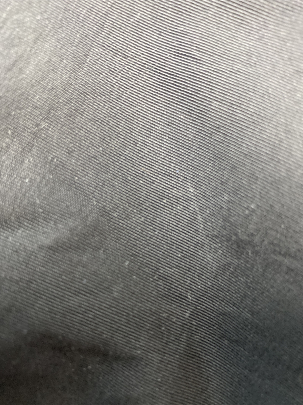 Bild 12 von 12