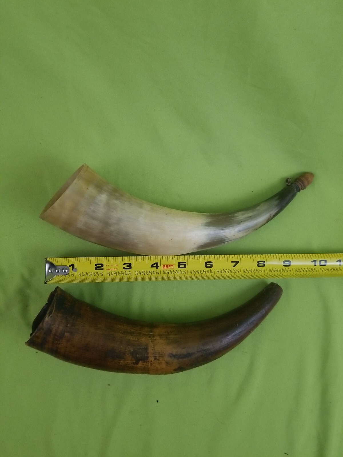 2 vintage Black Powder Cow Horns eBay