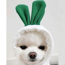 Dog Pullover Delicate Embroidery Warm Comfortable Cute Pet Hoodie for Cat Puppy