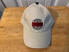 Minnesota Twins 2006 Dairy Queen Hat Cap NWT